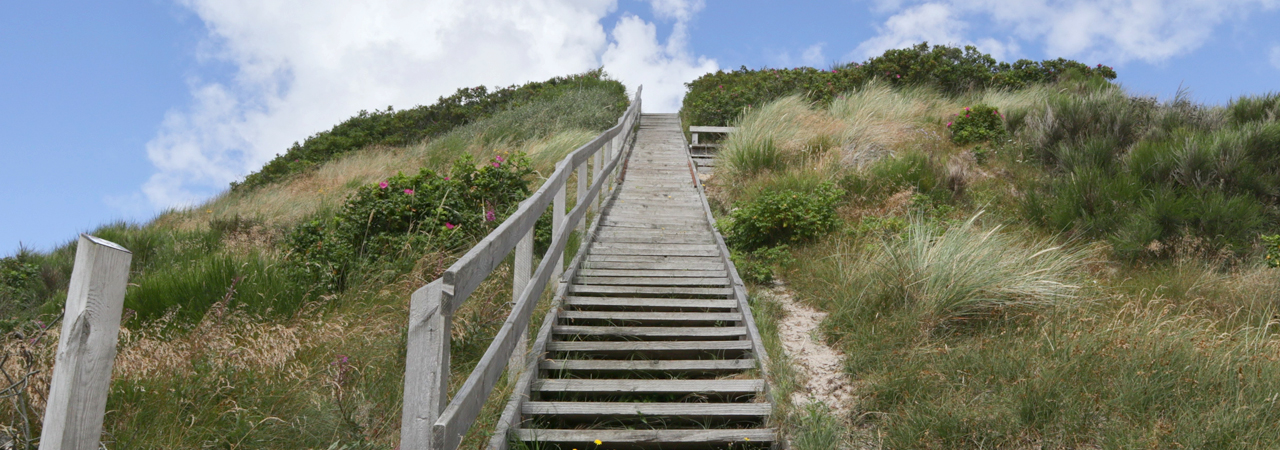 Photo of wooden stairs leading up a grassy hill
